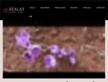 Tablet Screenshot of bealar.com